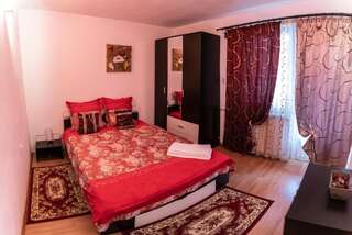 Проживание в семье Casa Nicoladis Зэрнешти Двухместный номер с 1 кроватью-1