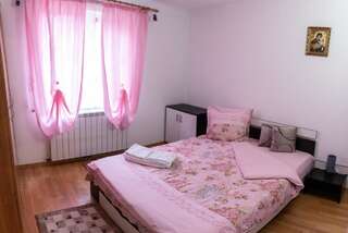 Проживание в семье Casa Nicoladis Зэрнешти Двухместный номер с 1 кроватью-3