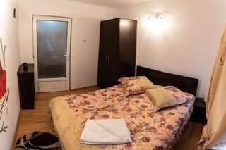 Проживание в семье Casa Nicoladis Зэрнешти Двухместный номер с 1 кроватью-5